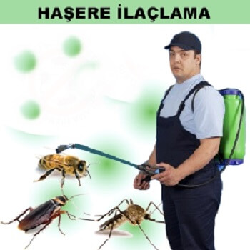 Hasköy Böcek İlaçlama